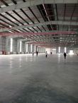 Kho xưởng KCN Mỹ Trung, FDI/EPE, 3000m2 đến 50.000m2, PCCC tự động, mới 100%, 60 nghìn/m2/th