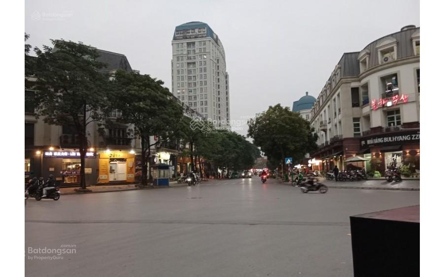 Bán gấp biệt thự song lập khu đô thị tây nam mễ trì nam từ liêm hà nội