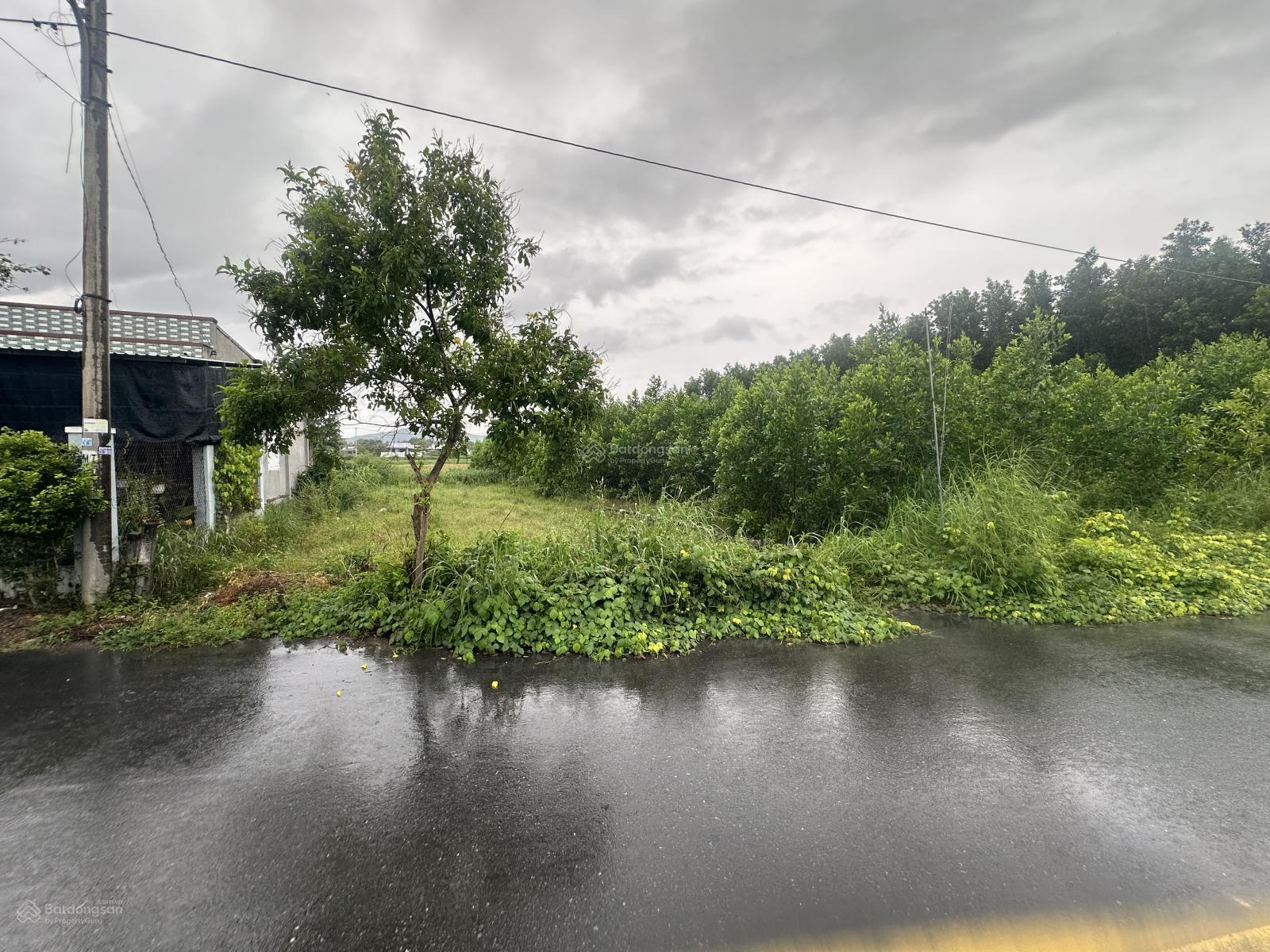 Bán đất 647.8m2 tại thị trấn Phước Hải, 4 tỷ, hướng Đông, mặt tiền 10m