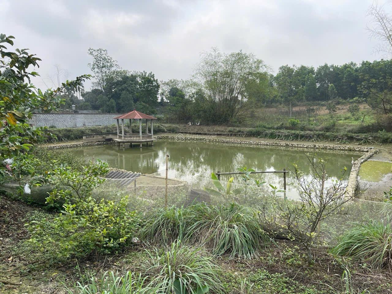 Cần chuyển nhượng 4000m2 tại Lương Sơn Hoà Bình cũ. Giá 3,5tr/m2