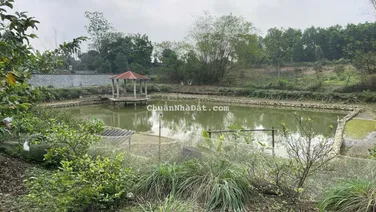 Cần chuyển nhượng 4000m2 tại Lương Sơn Hoà Bình cũ. Giá 3,5tr/m2