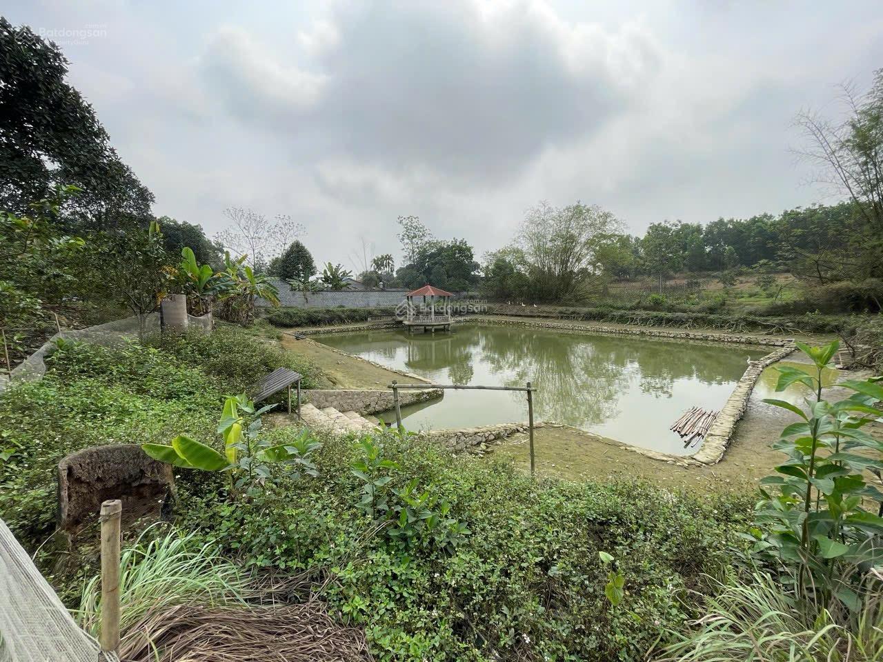 Cần chuyển nhượng 4000m2 tại Lương Sơn Hoà Bình cũ. Giá 3,5tr/m2