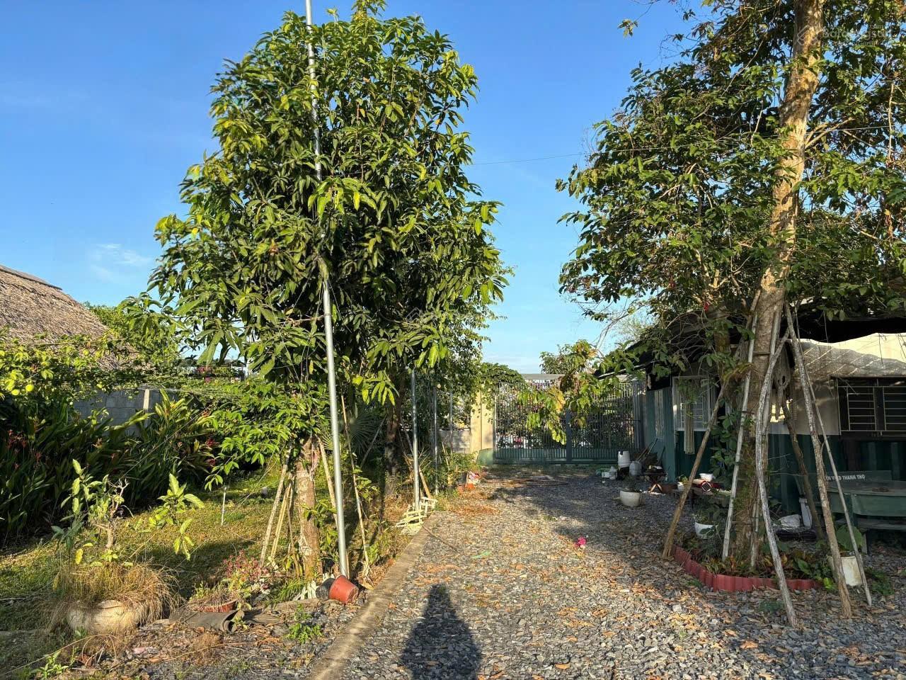 Bán nhà vườn nghỉ dưỡng ven sông Đồng Nai 1.607m2 (200m2 thổ cư) Bình Lợi, Vĩnh Cửu 6,7 tỷ