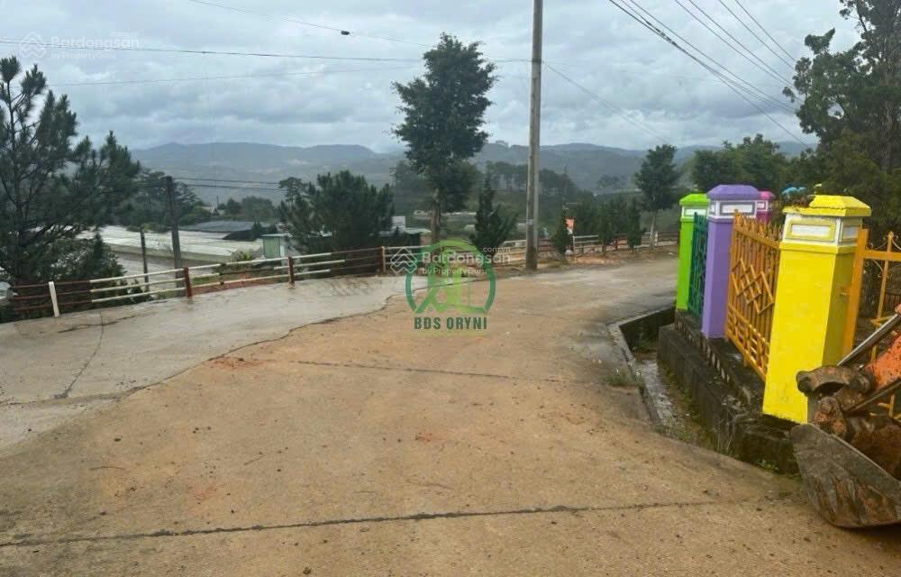 View săn mây đất đẹp xã Lát, Lạc Dương 2100m2 chỉ 1,6 tỷ, đường ô tô, thích hợp làm farms