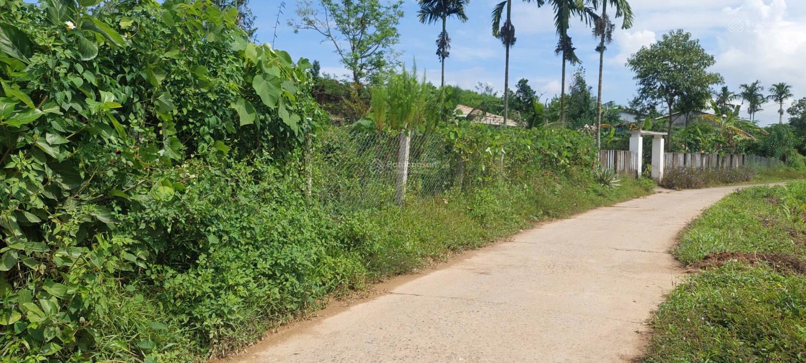 Đất xây nhà vườn đẹp đường oto thông, 1100m2 có 150m2 đất ở ngang 21m.