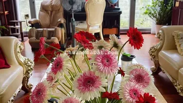 Chính chủ bán biệt thự Elegant Park Villa Thạch Bàn, diện tích 136m2, giá chỉ: 44 tỷ