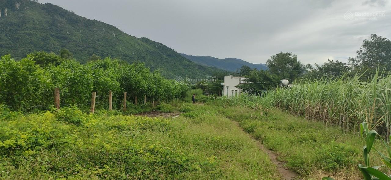 Bán 866m2 mặt đường Quốc Lộ 26 Ninh Tây