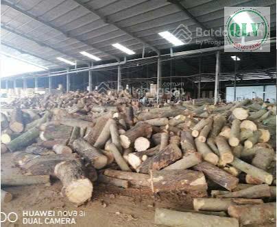 Cho thuê nhà xưởng 14.000m² Tân Phú, Huyện Đồng Phú, Bình Phước