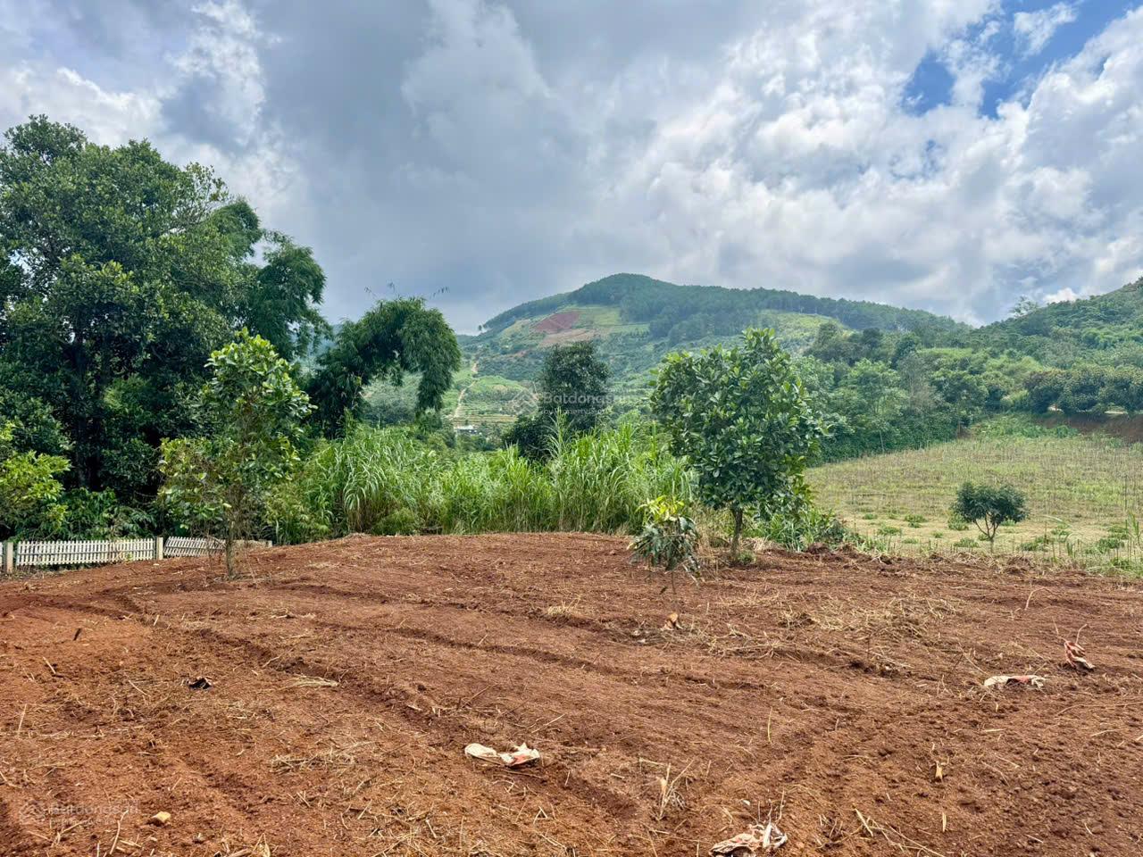 Sổ hồng 560m2, 175m2 thổ cư. Ôm suối Cam Ly, gần chợ Thăng Long