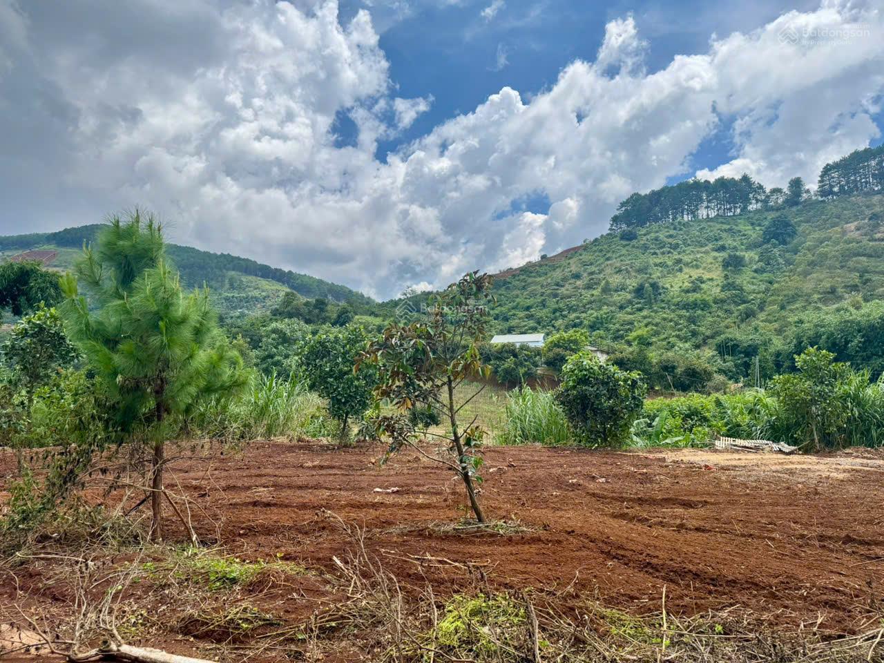 Sổ hồng 560m2, 175m2 thổ cư. Ôm suối Cam Ly, gần chợ Thăng Long