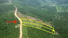 Đất 5000m2 đã tách 2 sổ. Dân cư điện nước đầy đủ xe hơi vào tận nơi