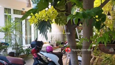 Bán 800m2 thổ cư homestay biển Hoà Bình, Hàm Tiến giá tốt