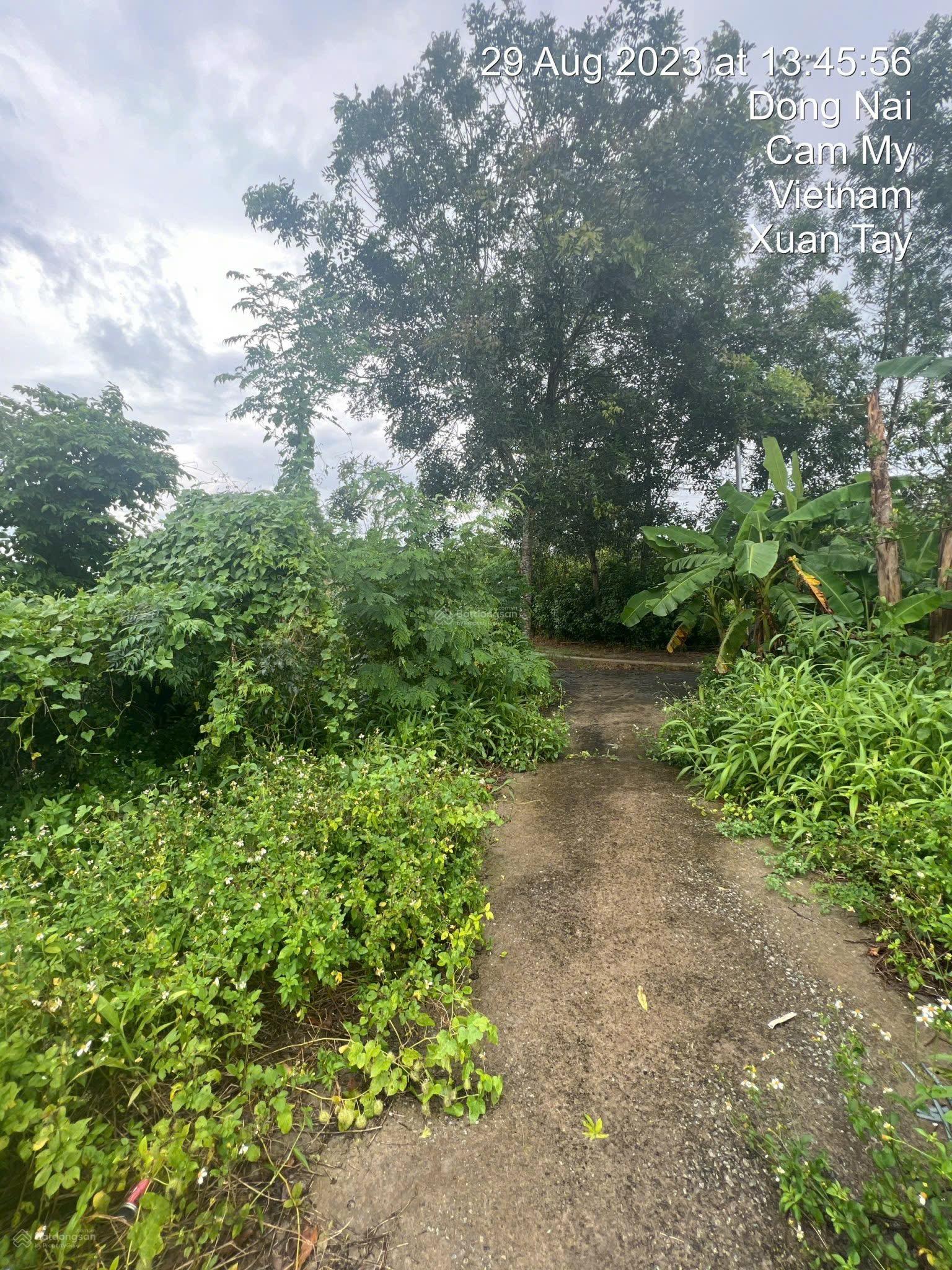 Ngân hàng thanh lý 3264m2 đất tại Xuân Tây, Cẩm Mỹ, Đồng Nai