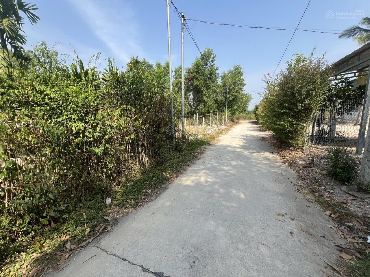Ngân hàng thang lý mặt tiền 42m đường bê tông tại Phú Điền, Tân Phú, Đồng Nai