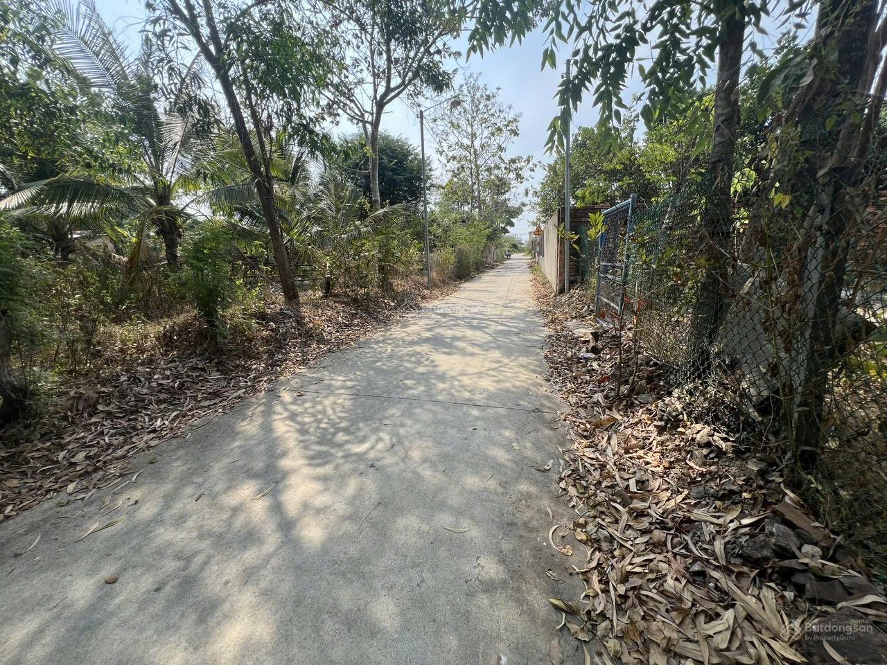 Ngân hàng thang lý mặt tiền 42m đường bê tông tại Phú Điền, Tân Phú, Đồng Nai
