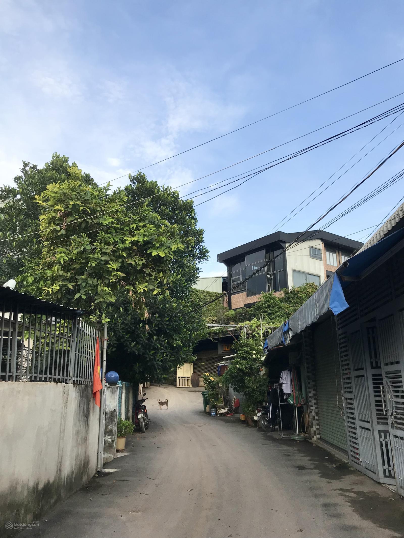 Đầu tư sinh lời 20-25% chỉ hơn 40tr/m2, ngắm vành đai 3 nhận ngay 230m2, Nguyễn Xiển, Long Bình, Q9