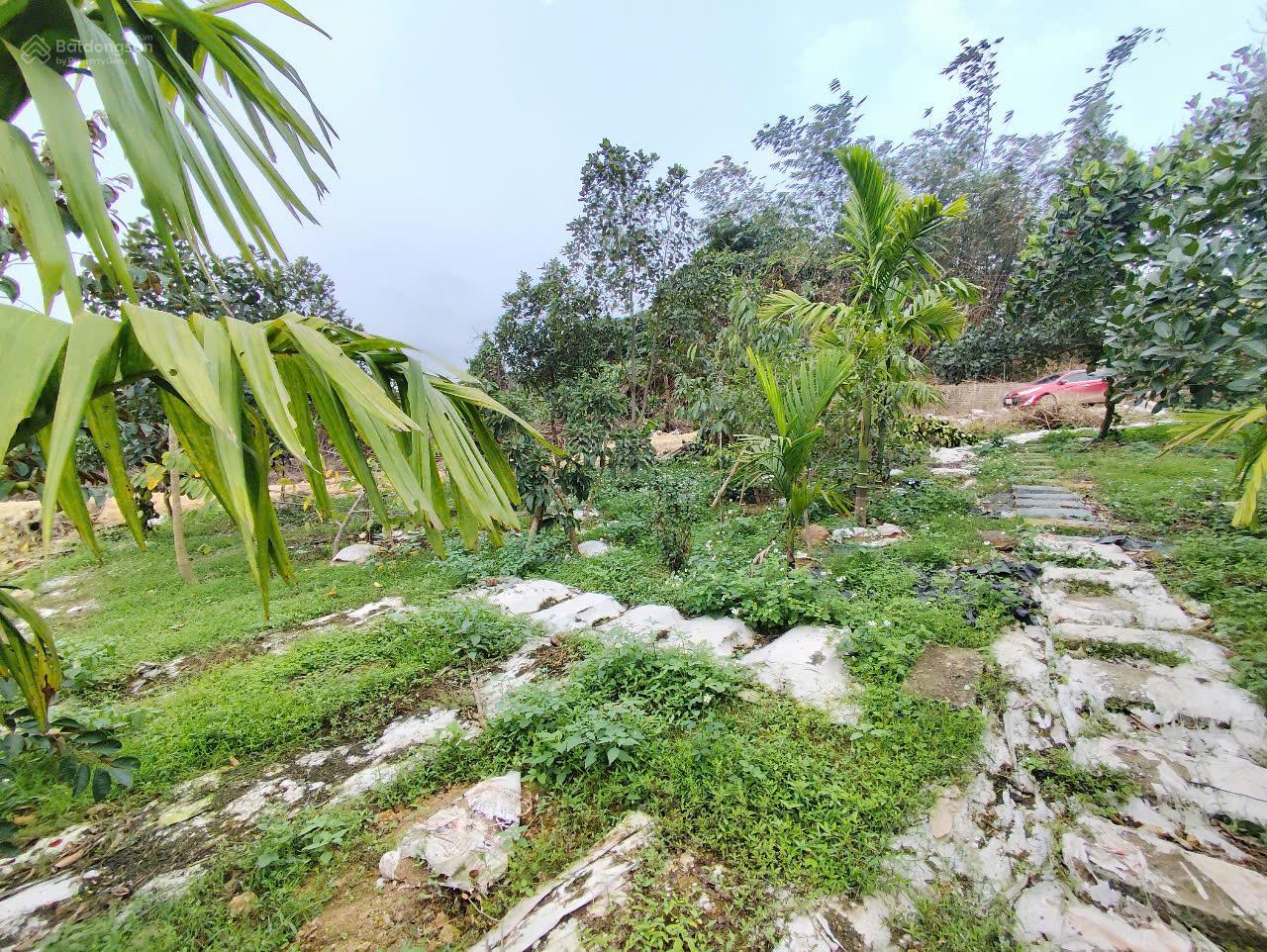 Mảnh đất nghỉ dưỡng Ba Trại sẵn khuôn viên nhỏ xinh, có ao, vườn cây ăn trái gần đường TL-chợ- trạm