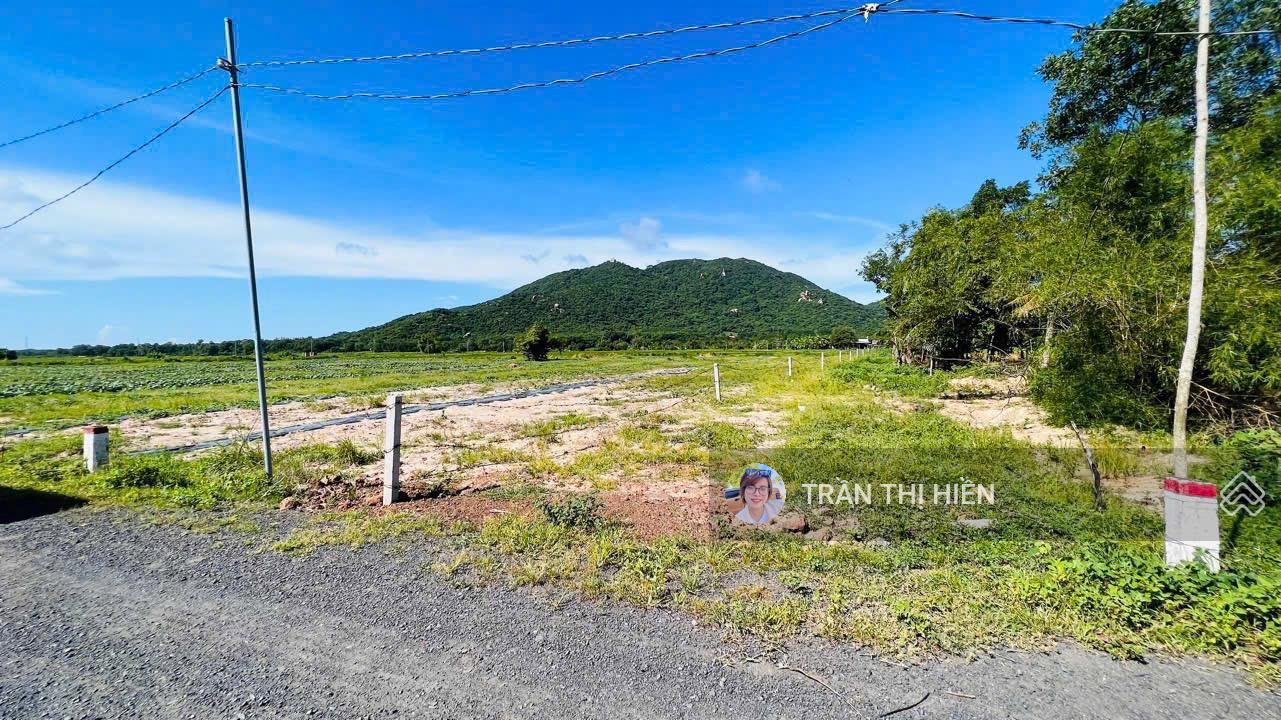 Lô góc 907m2 - 17x46m - thị trấn Phước Hải - cách biển chỉ 2km - ngay khu Đồng Gió Glamping