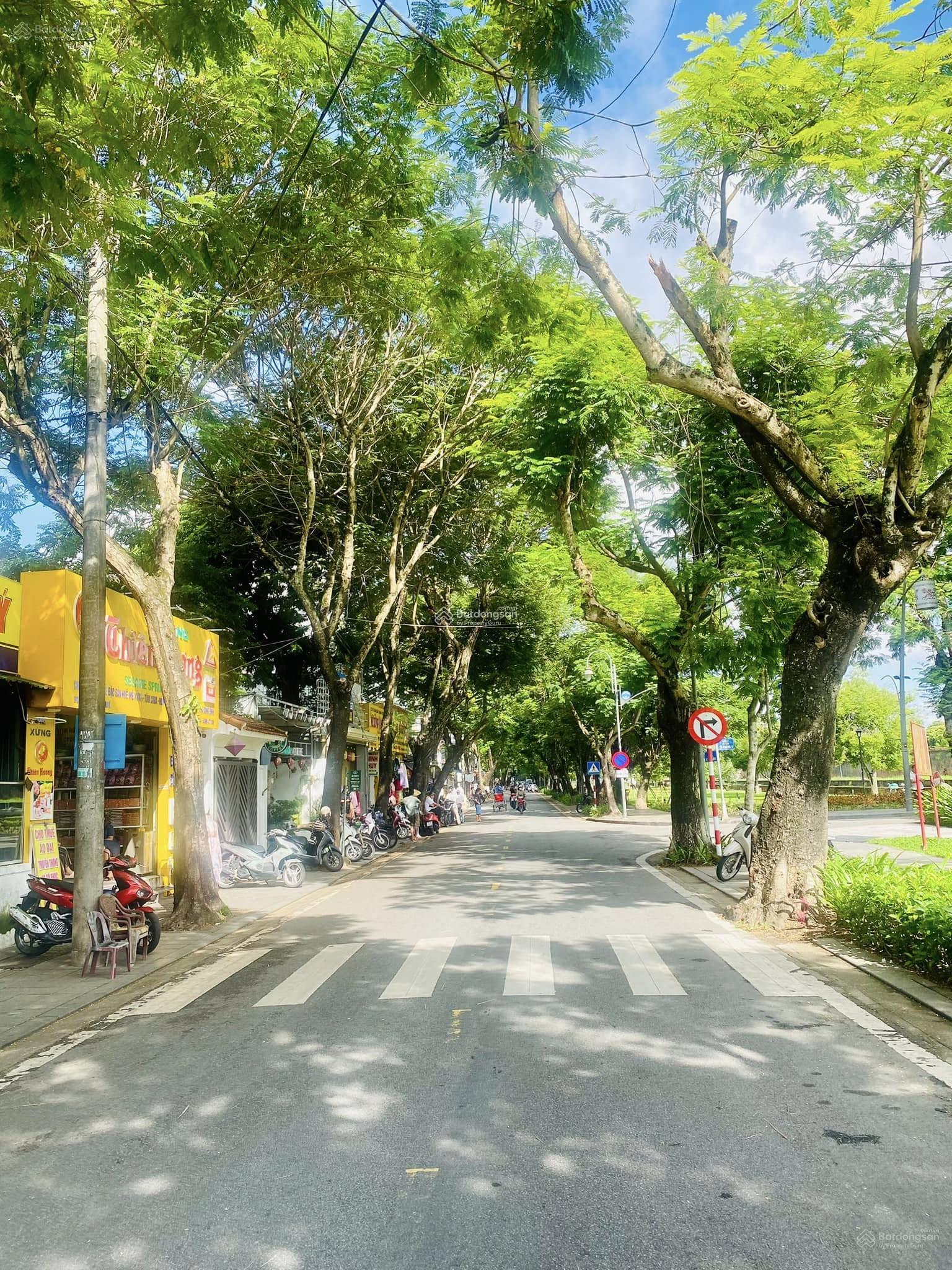 Bán nhà mặt tiền đường Nguyễn Thiện Thuật Bán nhà mặt tiền đường Nguyễn Thiện Thuật