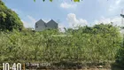 Siêu phẩm đẹp! Bán 2.6 tỷ/99.2m2 full thổ cư sát đường Vành Đai 4 đường ô tô tận đất, 0961 532 ***