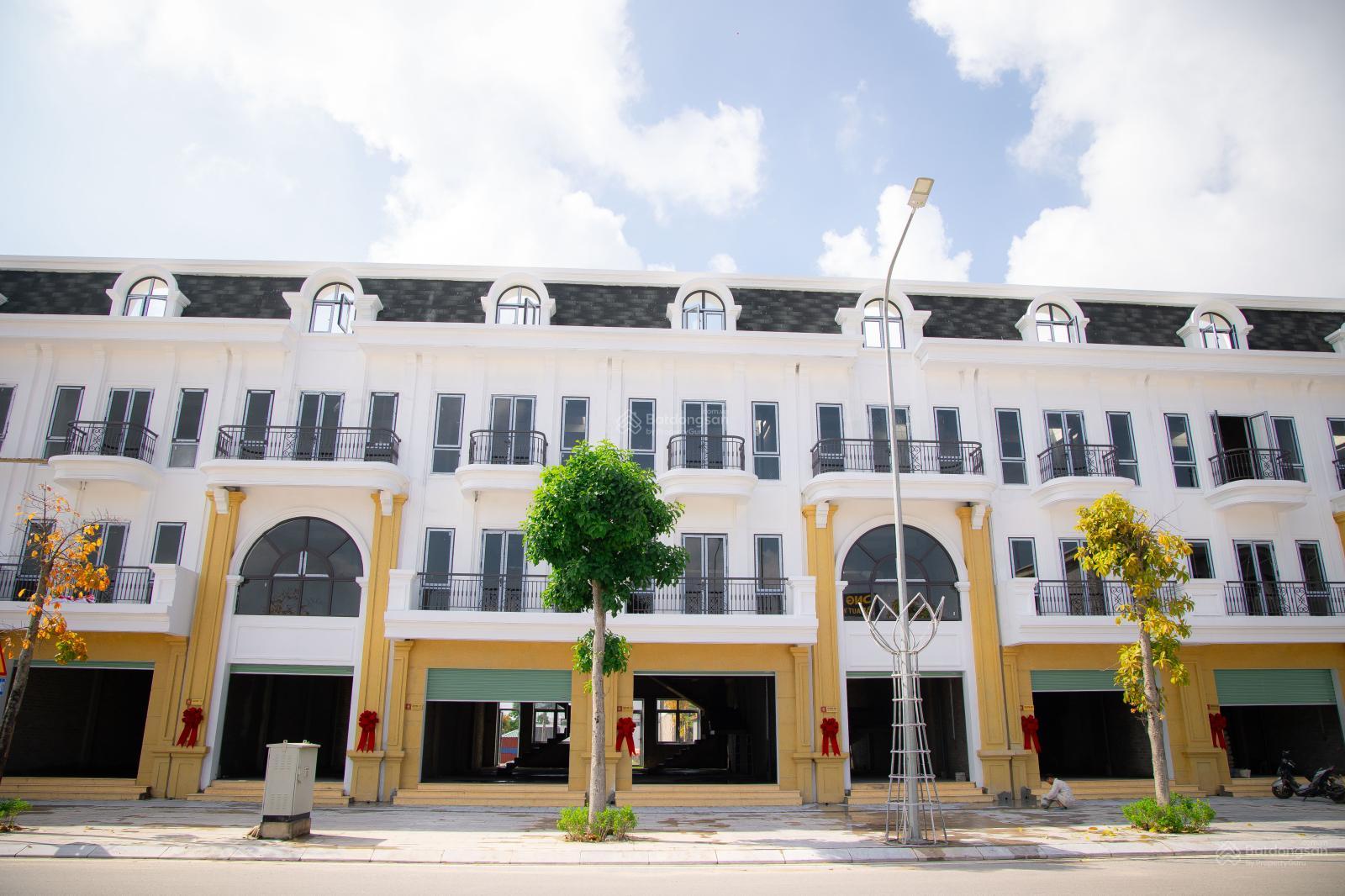 Bán đất nền dự án tại Tấn Đức Central Park, 2,4 tỷ, 100m2