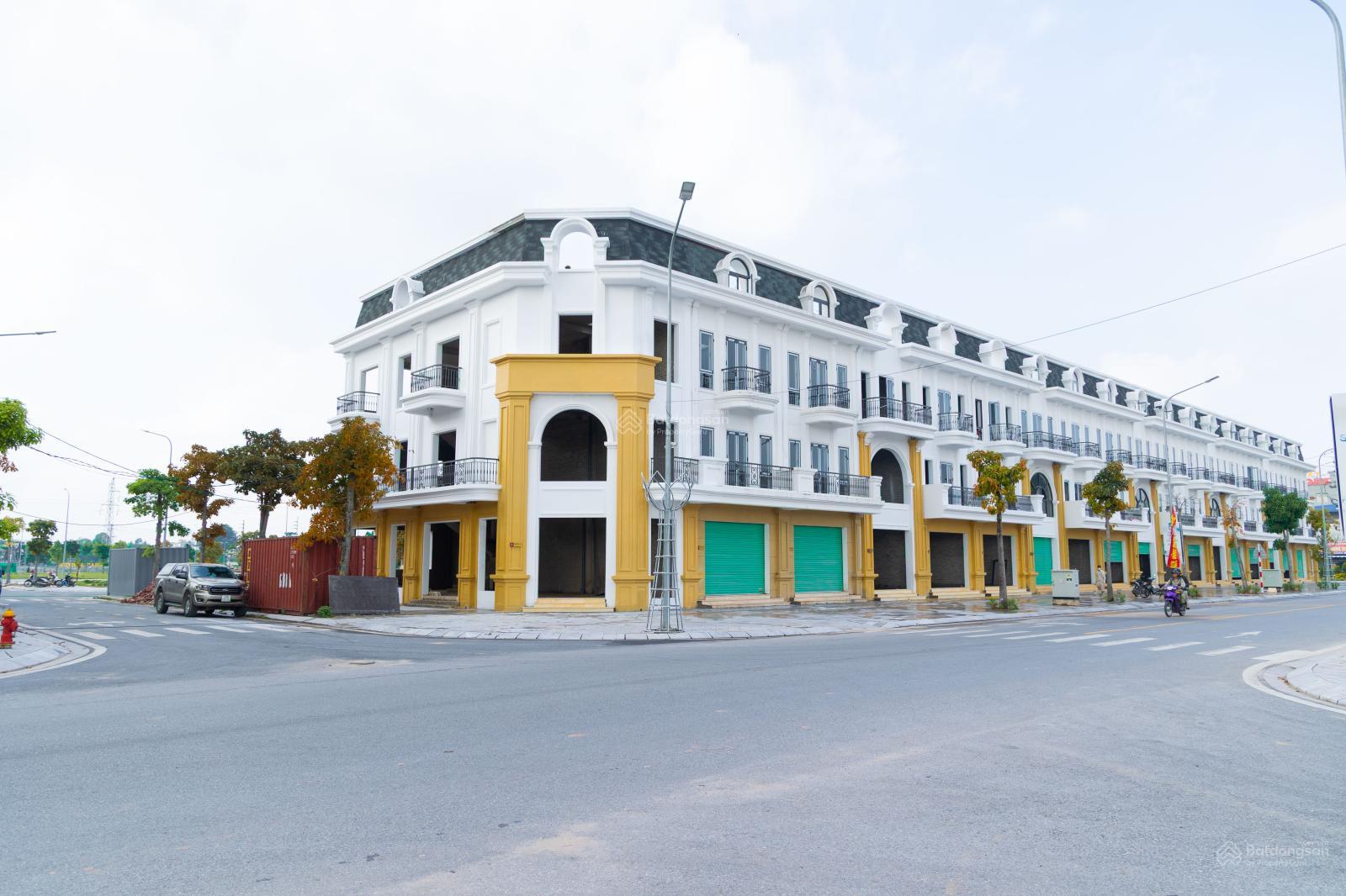 Bán đất nền dự án tại Tấn Đức Central Park, 2,4 tỷ, 100m2