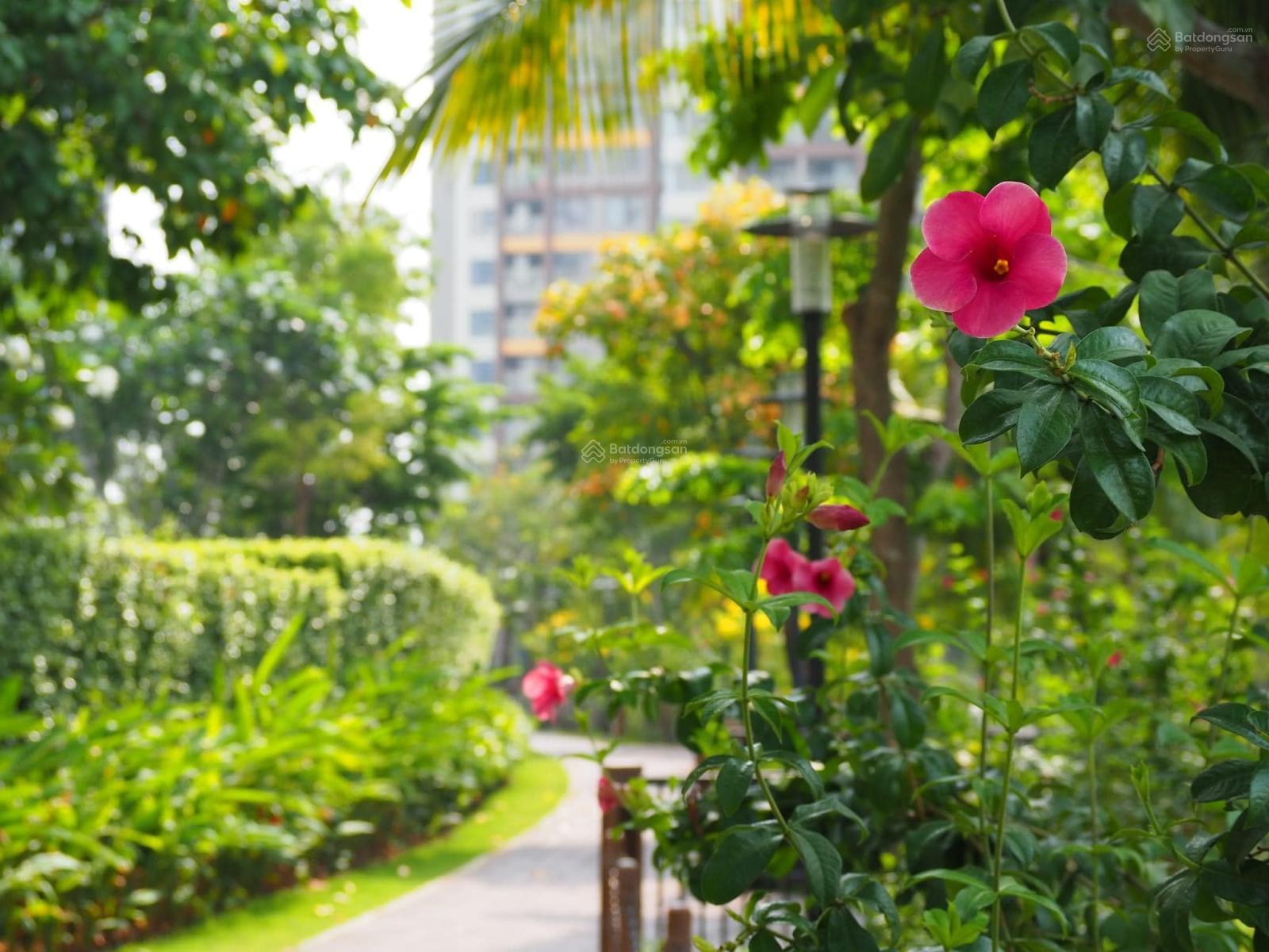 Chỉ 1,2 tỷ sở hữu căn hộ Mizuki (trực tiếp CĐT), ký HĐ chỉ 10%, chiết khấu 11%, giá từ 3,8 - 4,5 tỷ