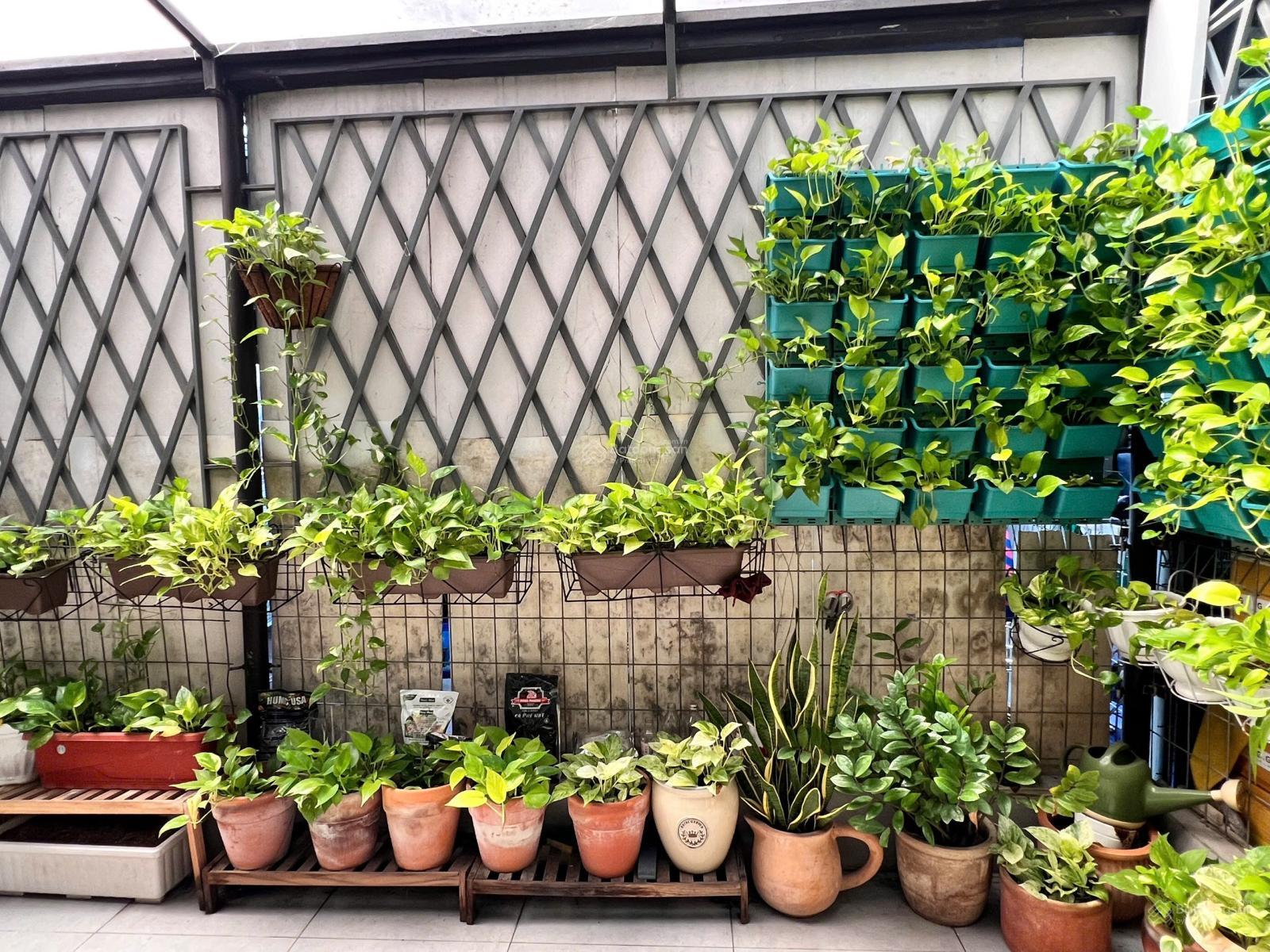 Bán nhà phố Camellia 1 trệt 1 lầu khu dân cư an ninh, có hồ bơi, phòng gym. Giá chỉ từ 7.4tỷ/căn