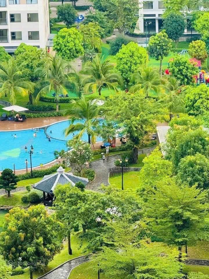 Bán căn studio The K park Avenue chung cư cao cấp Vinhomes Thanh Hóa giá cực rẻ 0973 969 ***