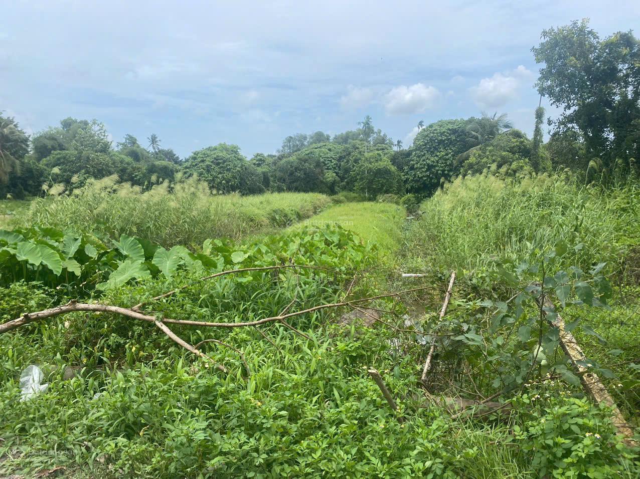 Bán đất nông nghiệp giá rẻ Đông Thạnh, Hóc Môn; DT 5600m2 sẵn 2 sổ riêng, giá tốt chỉ 4.6tr/m2