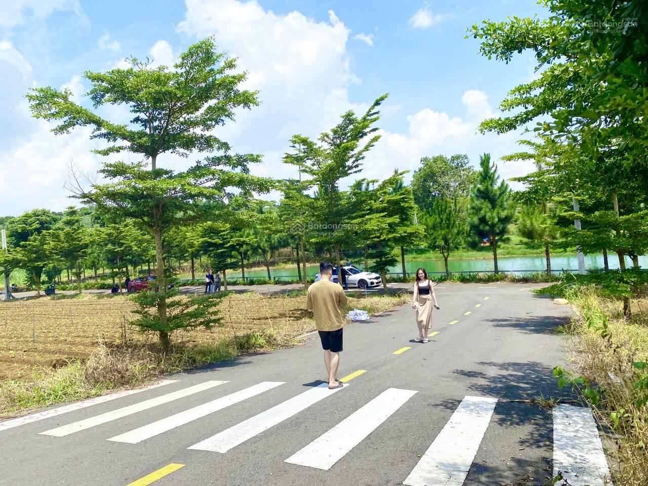 2 nền liền kề 205m2 view gần hồ tự nhiên, sân tenis, công viên tại khu dân cư Bảo Lộc phường 2