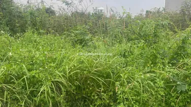 Chính chủ bán lô M giá rẻ nhất dự án Sở Văn Hóa Thông Tin, Quận 9, LH 0903 382 *** Thọ