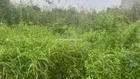 Chính chủ bán lô M giá rẻ nhất dự án Sở Văn Hóa Thông Tin, Quận 9, LH 0903 382 *** Thọ
