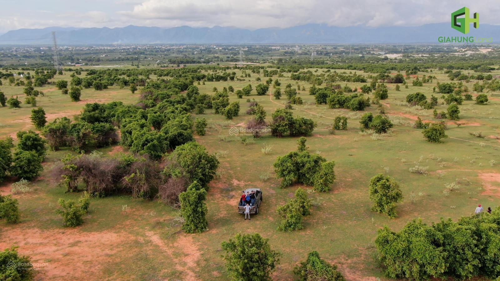 Bán 3260m2 đất vườn Hồng Thái, Bắc Bình sổ có đường giá 370tr, gần đường liên huyện LH 0938 677 *** Bán 3260m2 đất vườn Hồng Thái, Bắc Bình sổ có đường giá 370tr, gần đường liên huyện LH 0938 677 ***