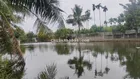 SIÊU PHẨM VIEW HỒ! Bán lô góc 355.8m2 Bình Minh Mễ Sở, Trục chính ngay vanh đai 4, 0931 841 ***
