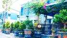 Căn tứ lập 80m2 full thổ cư, 1 trệt 1 lầu tại KĐT Oasis, trục thông đẹp, sổ hồng sẵn, Giá 1,6 tỷ