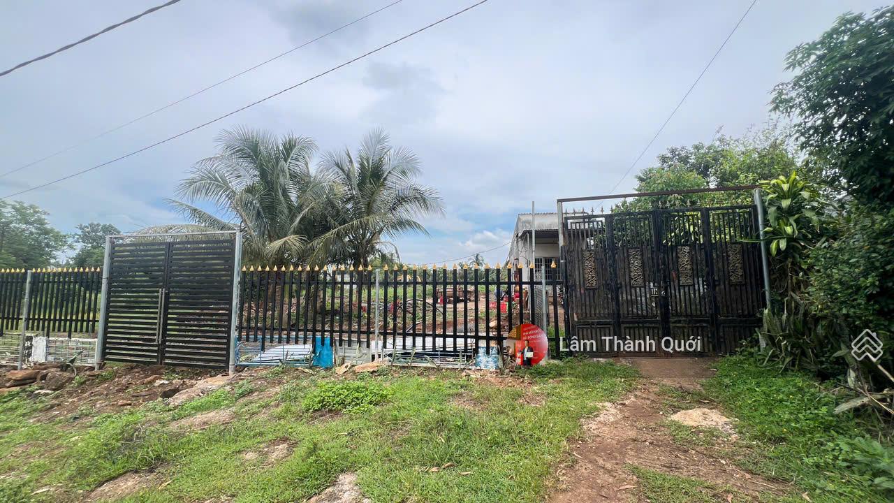 Bán nhà vườn Điểu Xiển, Bầu Trầm, Long Khánh, 25x100m, 2600m2, có nhà 4x20m, 2PN, 2WC, 3.5 tỷ