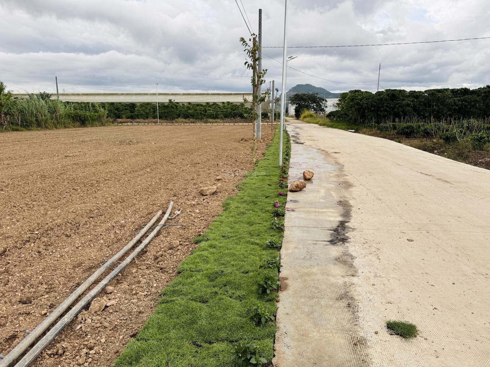 Bán gấp đất FUL THỔ CƯ tại Bình Thạnh, Đức Trọng, 5x33m, sổ sẵn, giá 550tr