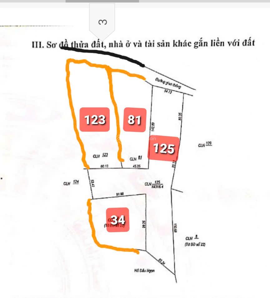 Bán trang trại khu nghỉ dưỡng đẹp tại Xã Tây Trạch, Bố Trạch, Quảng Bình, 4,9 tỷ, 47.735 m2