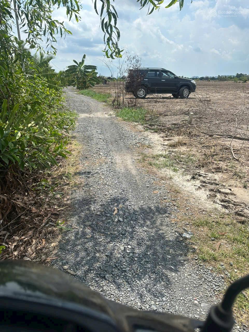 Hạ giá bán gấp đất nhà vườn Phú Hữu Nhơn Trạch gần đường Cát Lái, giá rẻ 2,5tr/m2, SHR chính chủ Hạ giá bán gấp đất nhà vườn Phú Hữu Nhơn Trạch gần đường Cát Lái, giá rẻ 2,5tr/m2, SHR chính chủ