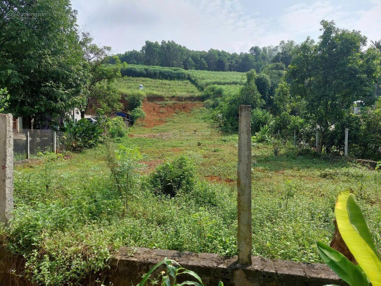 Lô đất nghỉ dưỡng Minh Quang gần hồ tự nhiên lớn, lưng tựa núi, cách UB xã 3km, TT Hà Nội hơn 60km