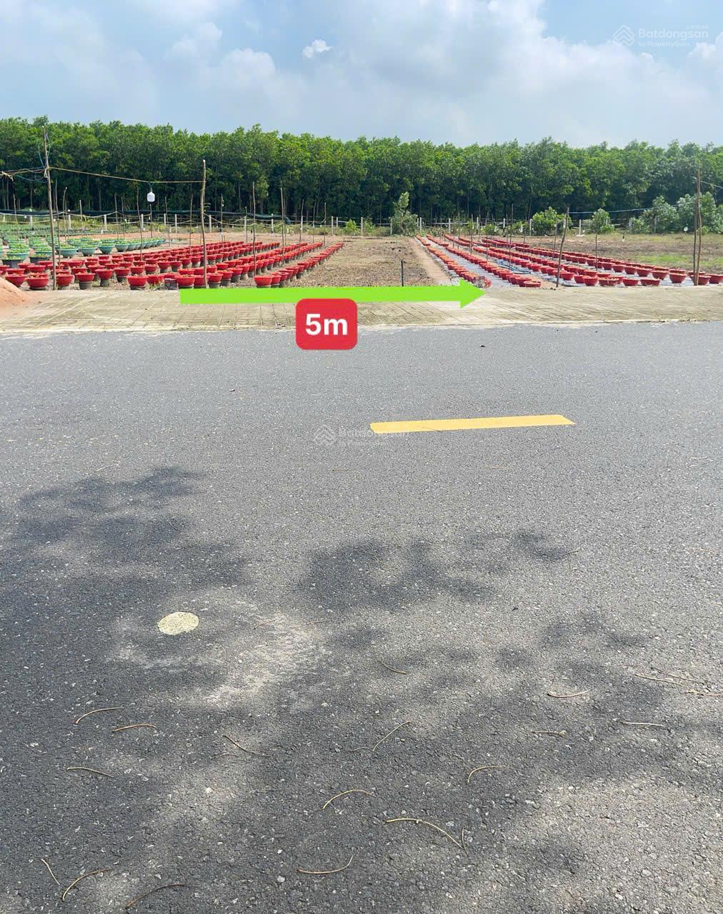 Bán đất đầu tư - đối diện cổng chính KCN Đất Đỏ