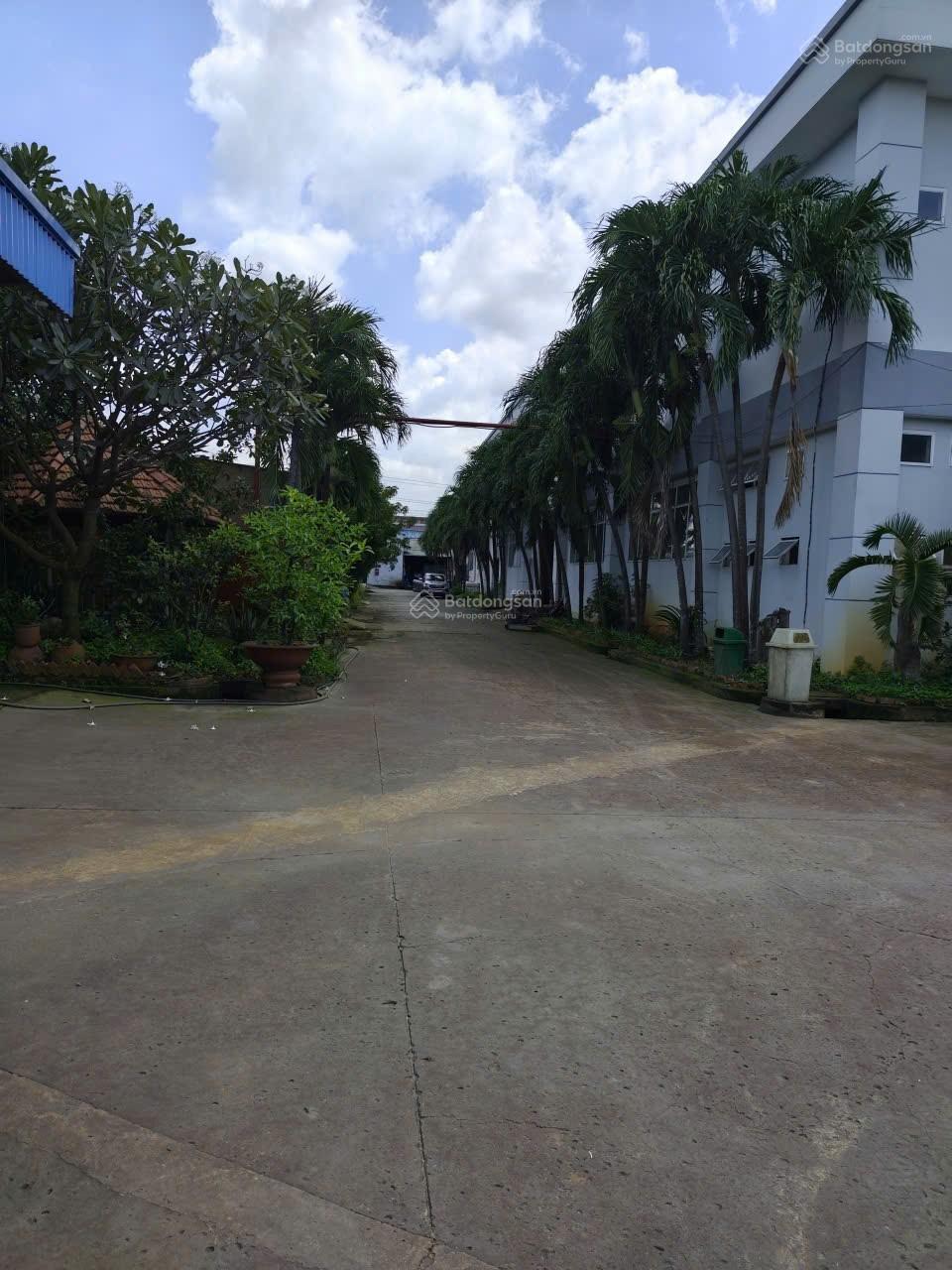 *Cho thuê kho xưởng*2000m2 Cụm CN Hoàng Gia, Mỹ Hạnh Nam, Đức Hoà, Long An