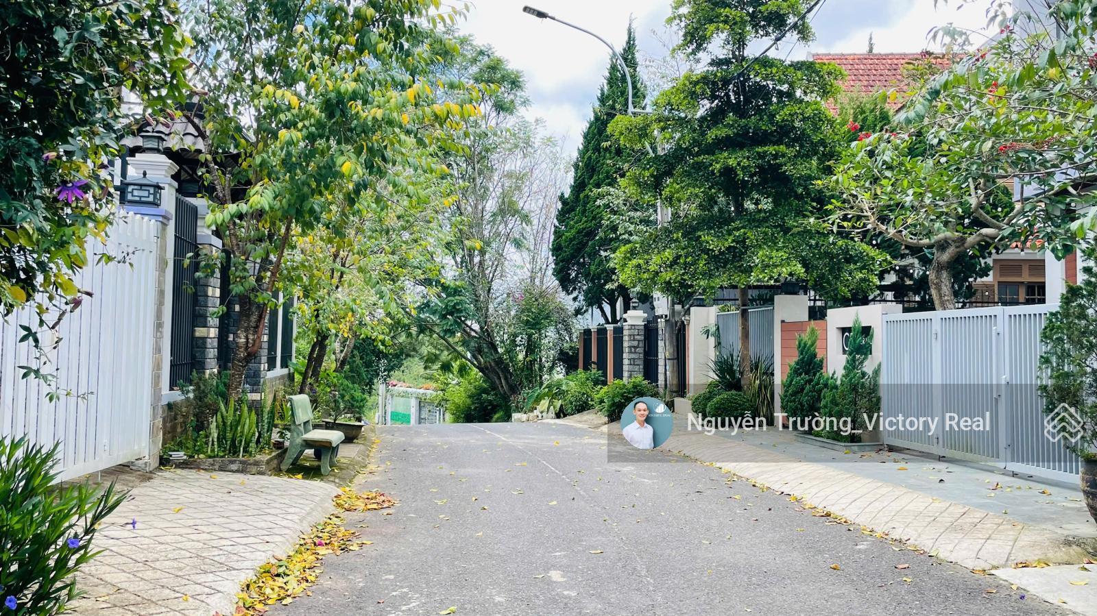 BÁN ĐẤT VIEW ĐẸP 250m² (ngang 12m dài 21m) HẺM XE HƠI ĐƯỜNG HOÀNG HOA THÁM, P.10, ĐÀ LẠT