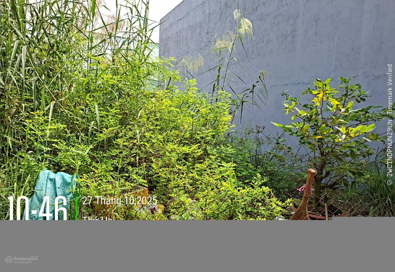 Cần bán đất thổ cư hẻm ô tô tới chỗ tại Nguyễn Văn Tạo