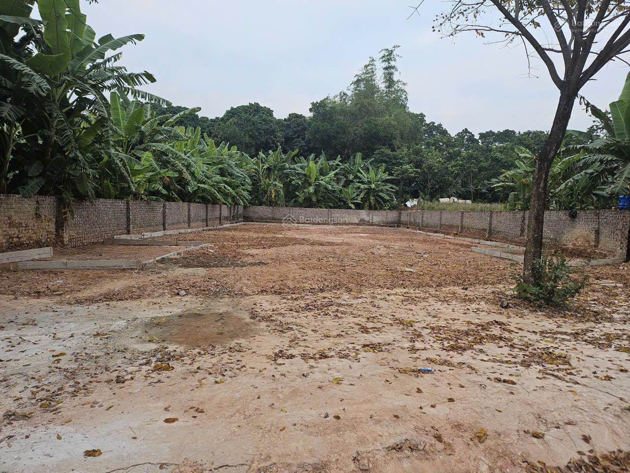 Chính chủ cho thuê mặt bằng nhà xưởng DT 570m² tại Hợp Châu - Đồng Tĩnh, Tam Dương, Vĩnh Phúc