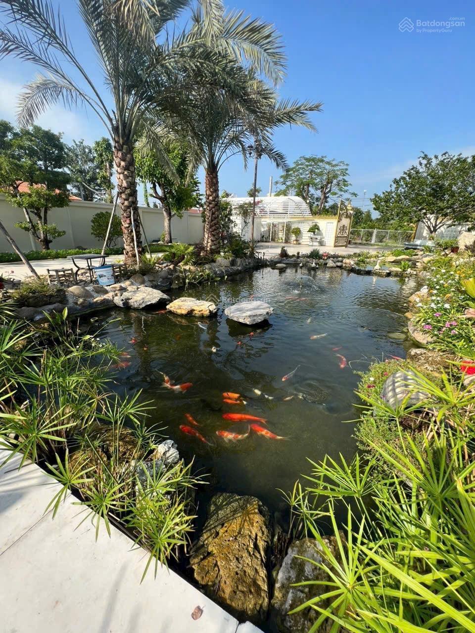Chủ kẹt bán đất mặt tiền 542m2 An Sơn 1 đường nhựa 12m gần cảng An Sơn giá chỉ 6,5 tỷ