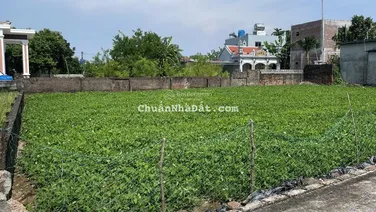 Bán đất Nam Hải Tiền Hải, Thái Bình Hưng Yên.120m2 450 triệu.