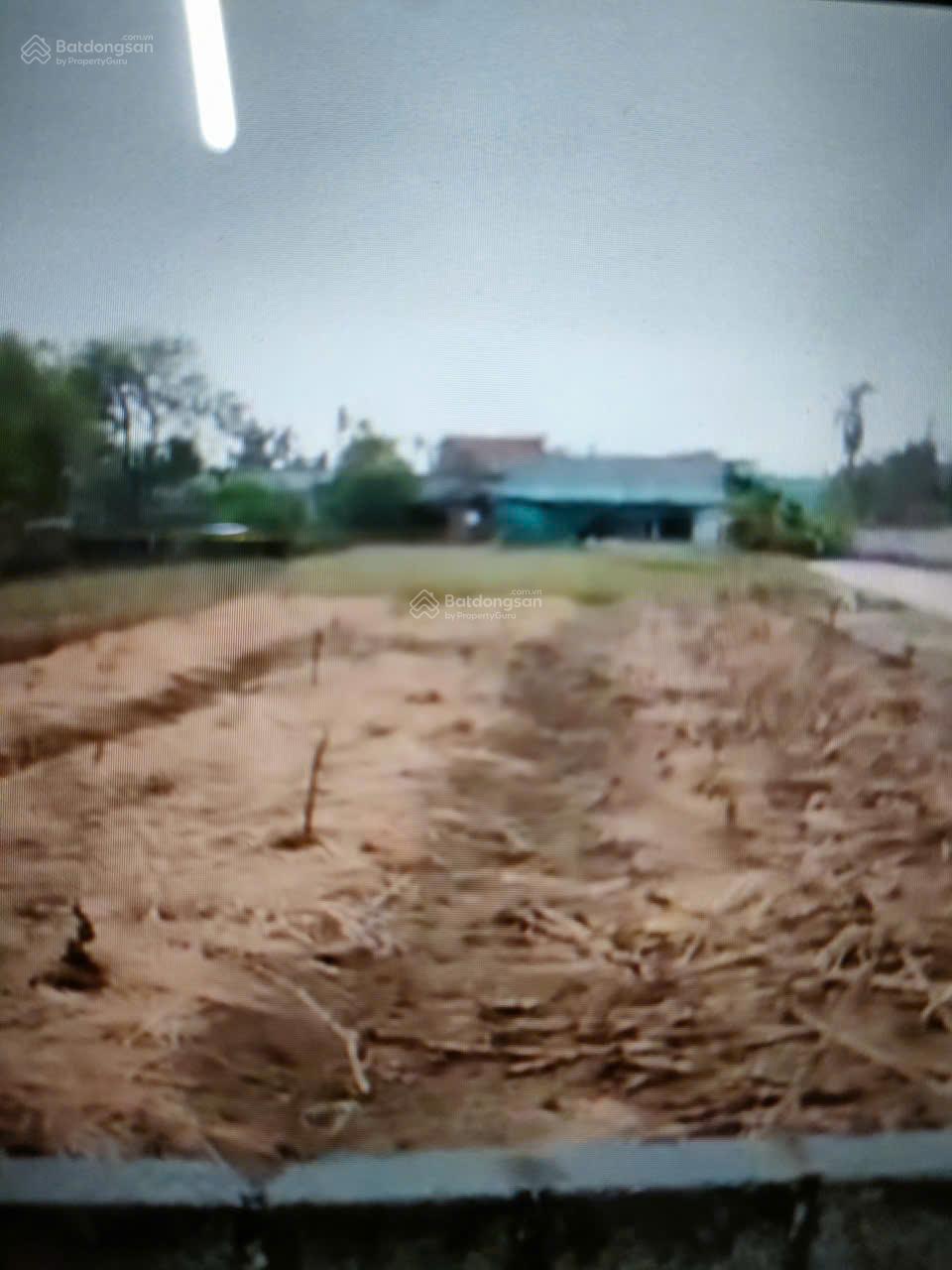 Chính chủ bán đất Nam Thịnh, Tiền Hải, Thái Bình  Hưng Yên. 490 triệu.