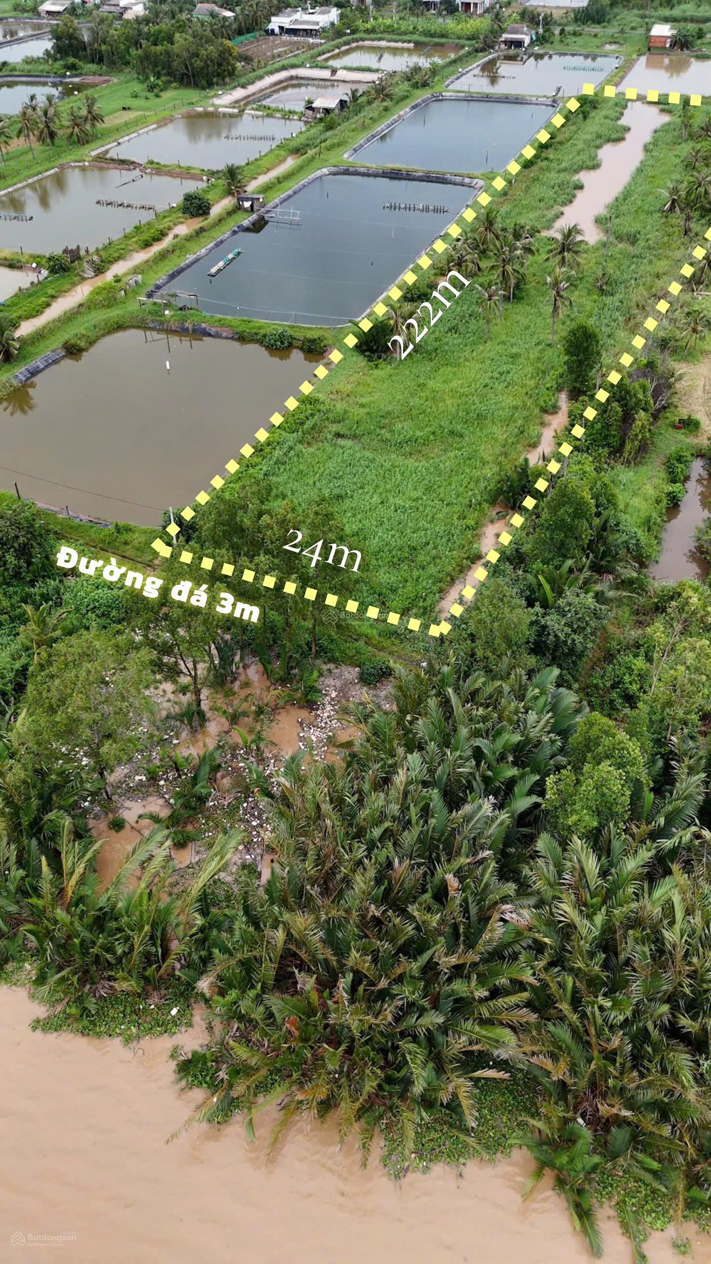 5.345m² đất mặt tiền sông siêu đẹp Giá siêu êm 265 triệu/1.000m² 5.345m² đất mặt tiền sông siêu đẹp Giá siêu êm 265 triệu/1.000m²